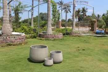 Set Of 3 Concrete Round Tulip Pots